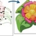 Créer des motifs programmés